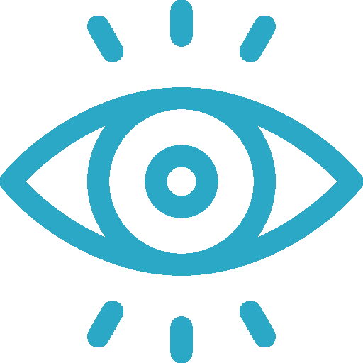 vision-icon